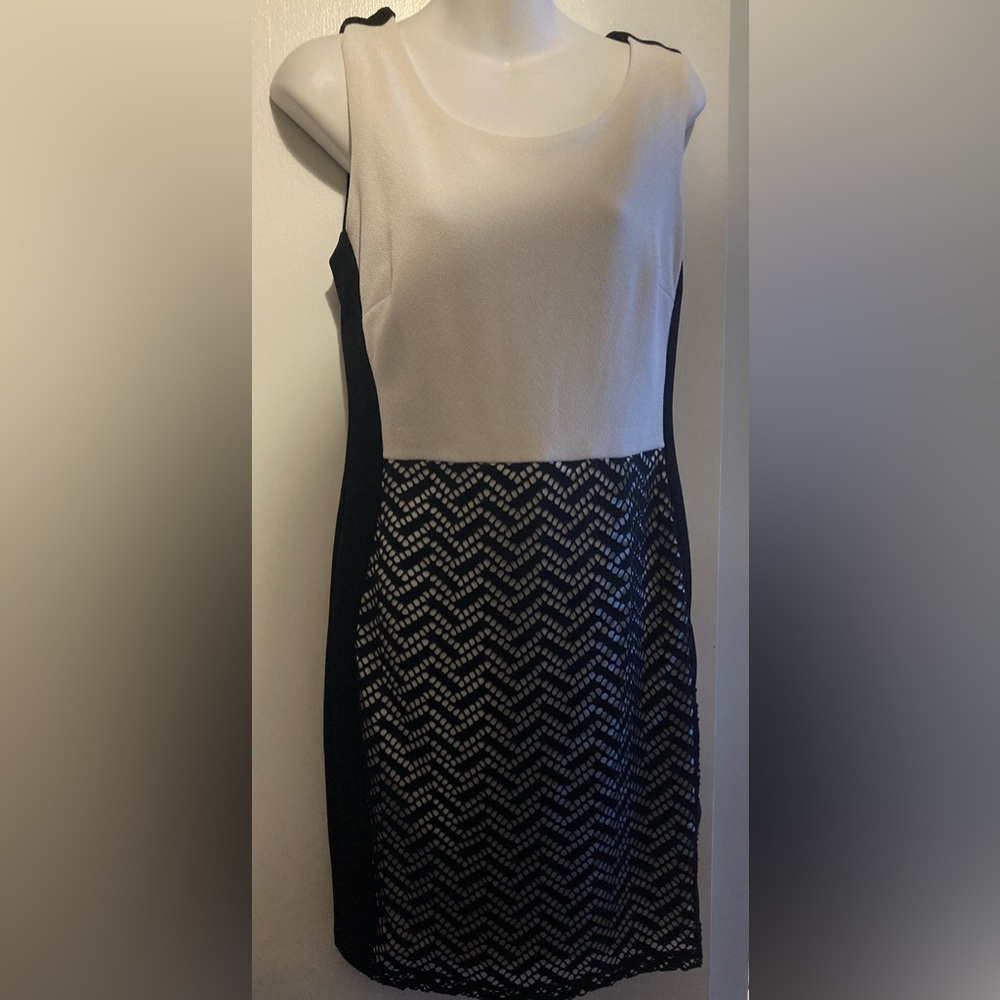 Ricki's Black and White Chevron Lace Mini Dress
